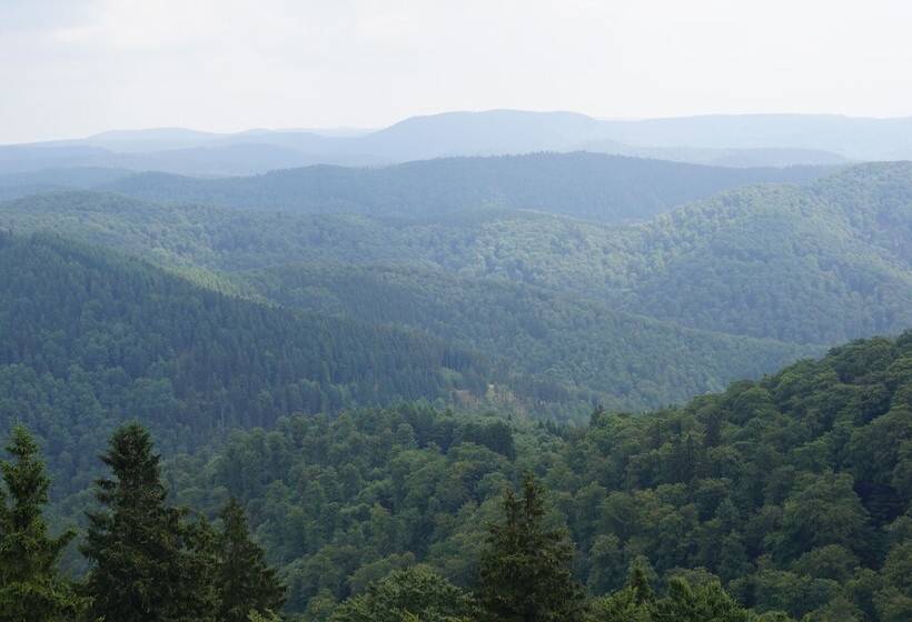 펜션 Klein Holland Harz