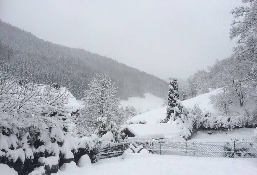 펜션 Klein Holland Harz