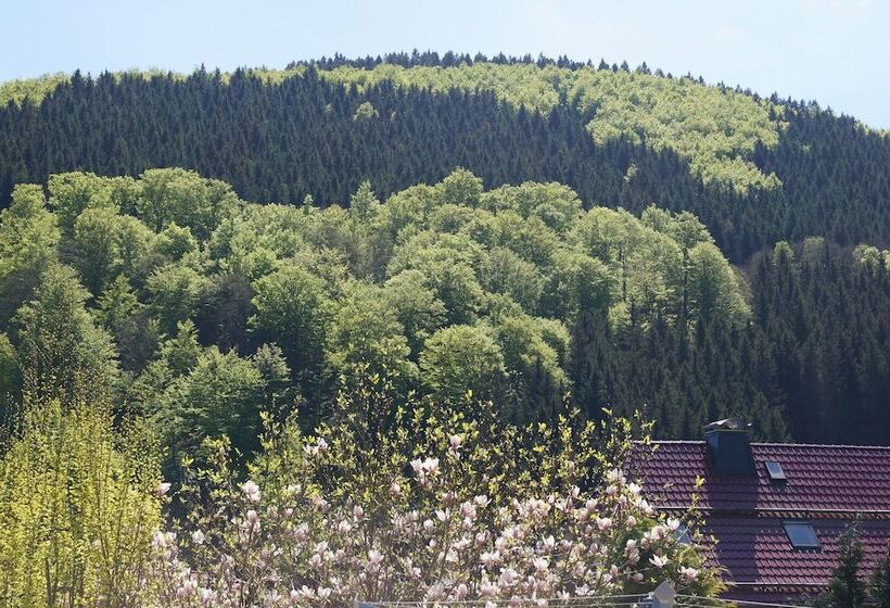 펜션 Klein Holland Harz