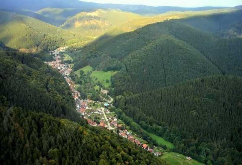 펜션 Klein Holland Harz