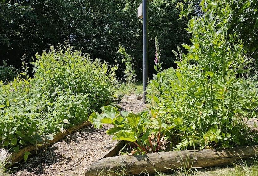 Общежитие Gudum Park