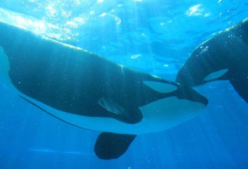 ゴールデンビーチホテル