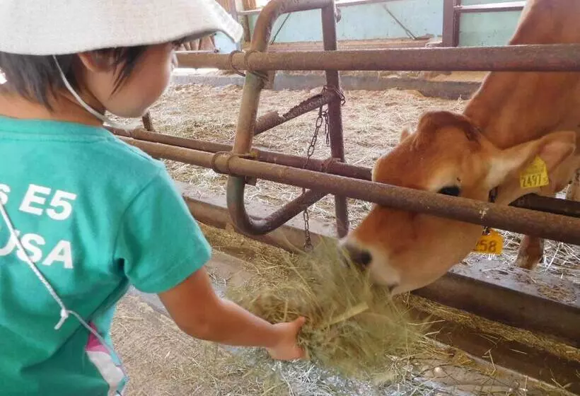 ゴールデンビーチホテル