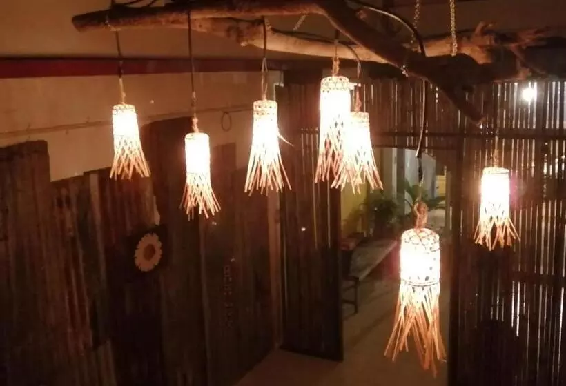 Chill Pill Hostel
