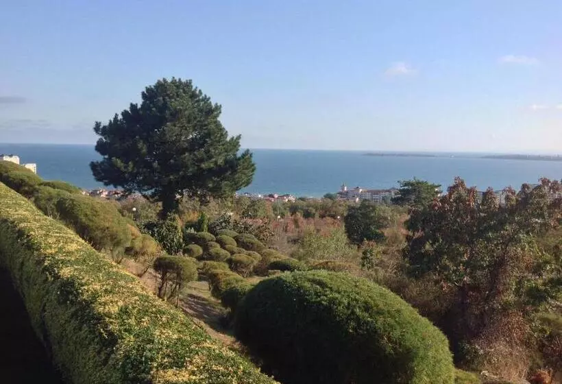 Flores Park
