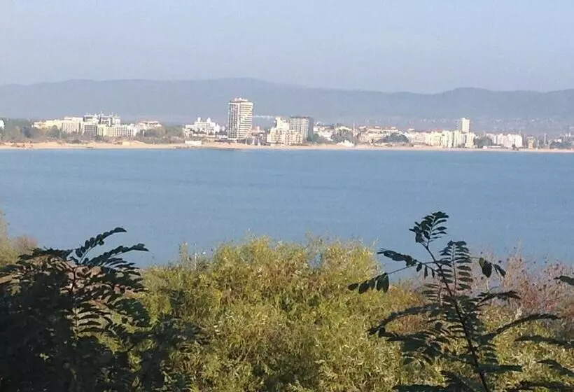 Flores Park
