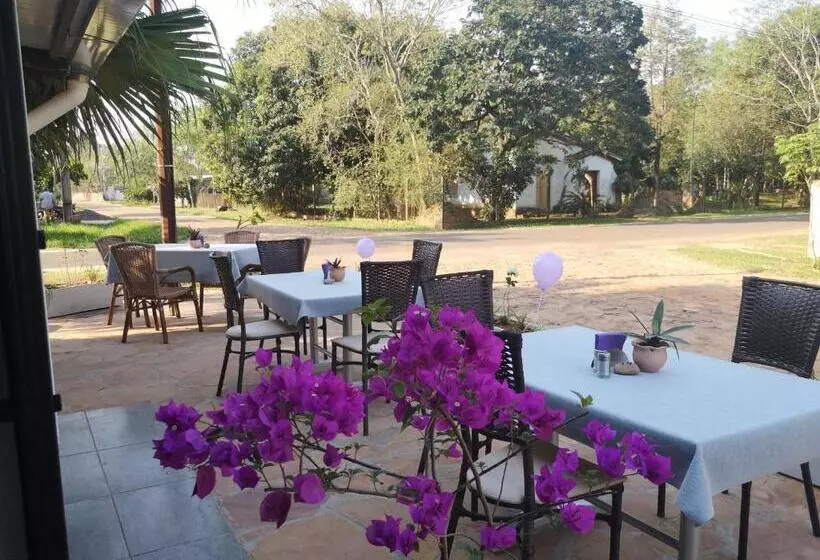 هاستل Adelante   Habitaciones Restaurante Café