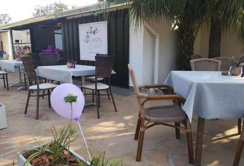 هاستل Adelante   Habitaciones Restaurante Café