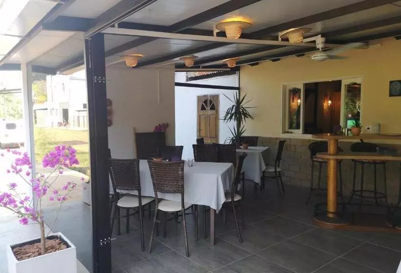هاستل Adelante   Habitaciones Restaurante Café