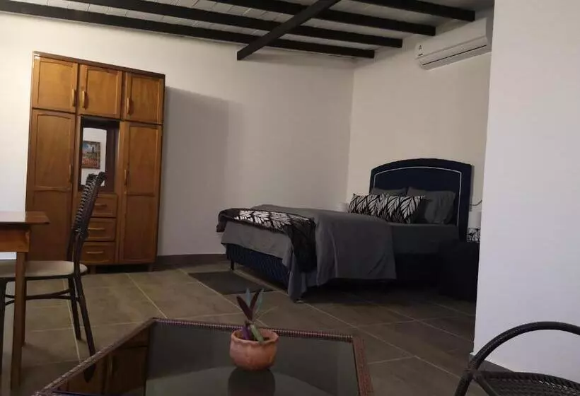 هاستل Adelante   Habitaciones Restaurante Café