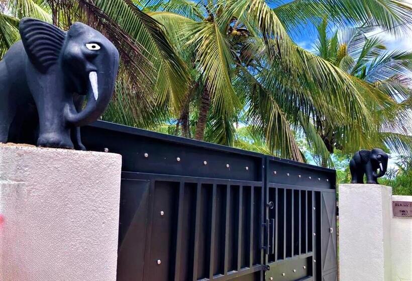 فندق صغير Grand Refuge Holiday Rooms