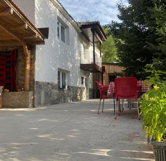 هاستل Guest House Bozvill