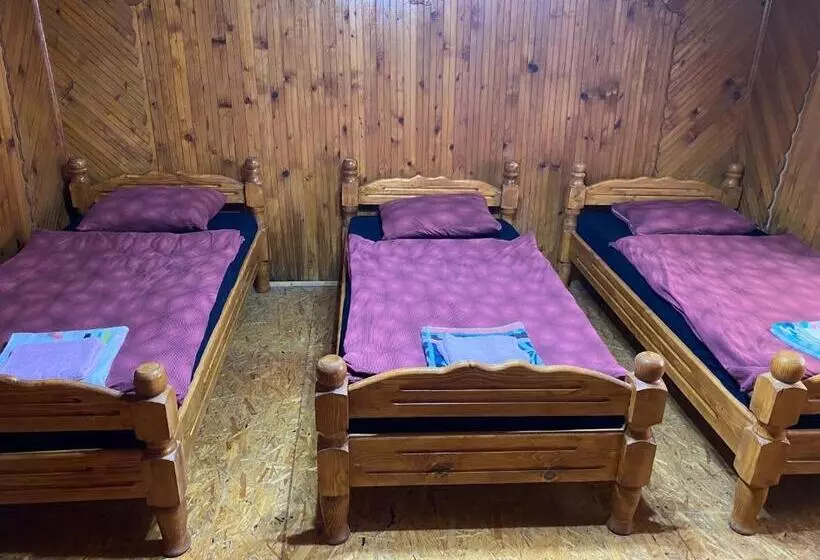 هاستل Guest House Bozvill