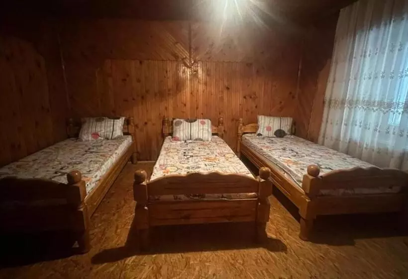 هاستل Guest House Bozvill