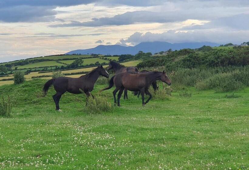 בית מלון כפרי Bright Cottage, Kingdom Of Mourne
