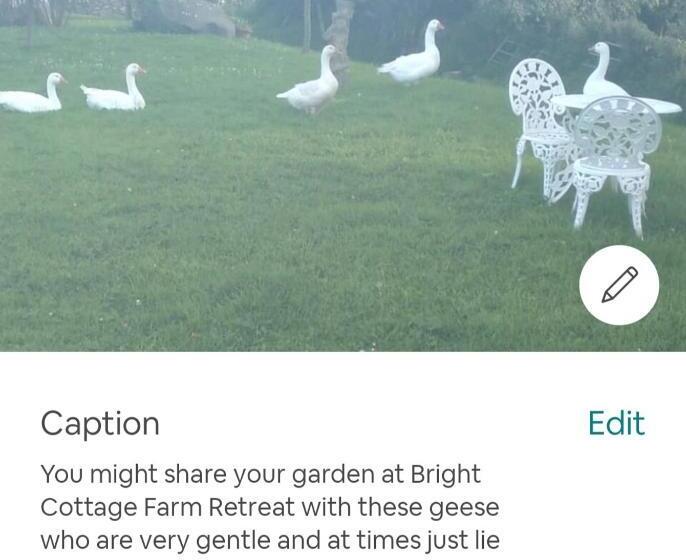 בית מלון כפרי Bright Cottage, Kingdom Of Mourne