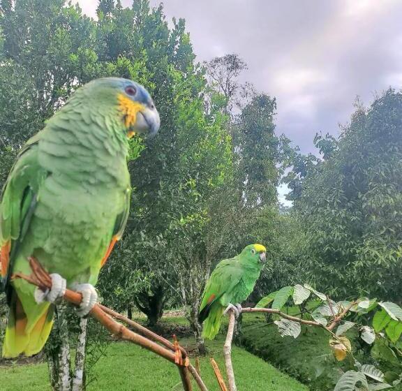 호텔 La Quinta De Andrés