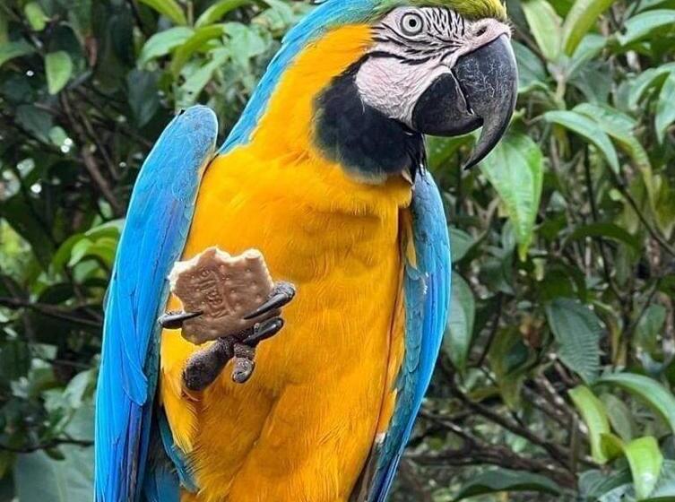 호텔 La Quinta De Andrés