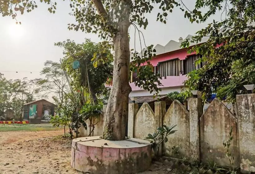 Oyo Hotel Royal Residency