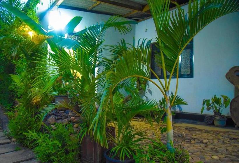 פנסיון Dream River In Ella