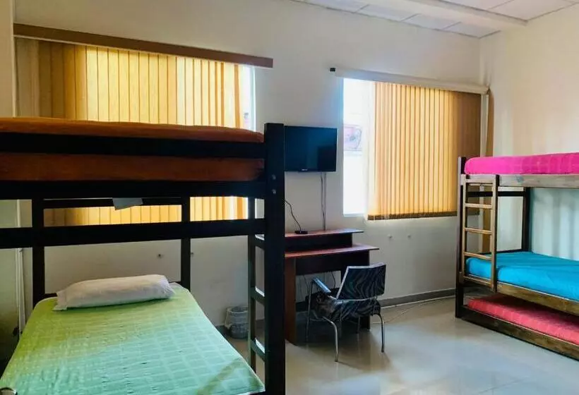 ペンション Hostal Zaguán Caldense
