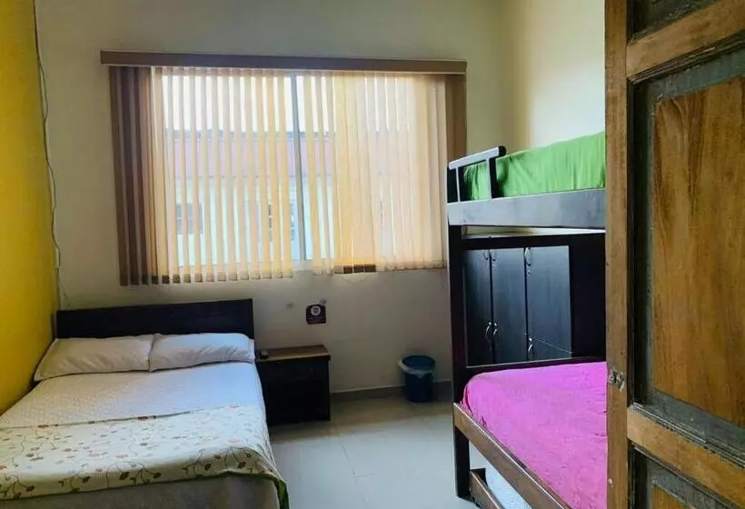 ペンション Hostal Zaguán Caldense