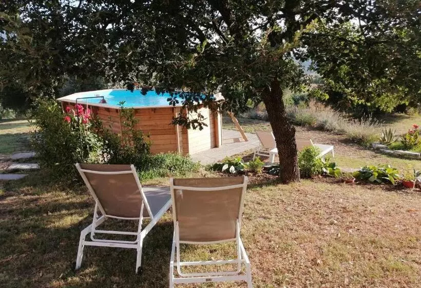 ペンション Vecchio Casale Quercetino   Androne