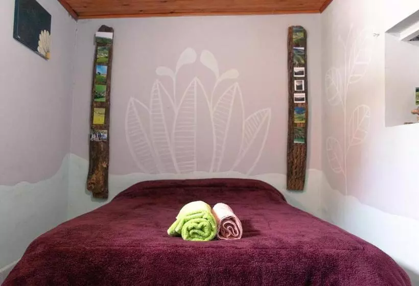 Acusi Hostel Camping