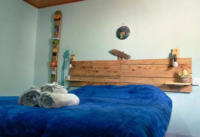 Acusi Hostel Camping