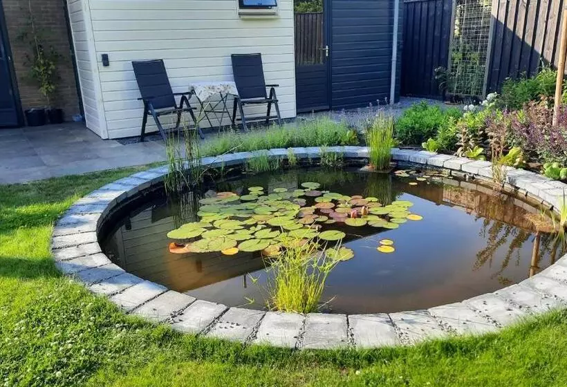 B&b Zeeuws Knoopje