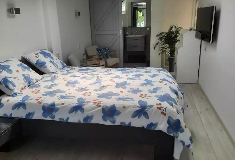 B&b Zeeuws Knoopje