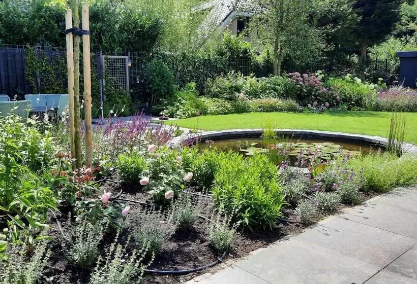 B&b Zeeuws Knoopje