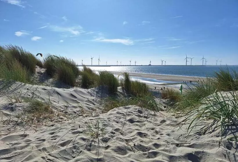 B&b Zeeuws Knoopje