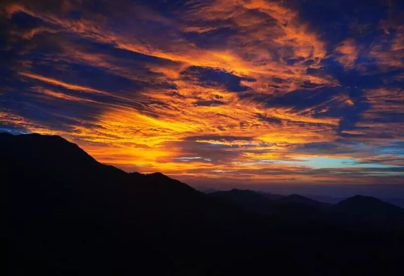 هتل Dhikidada Resort