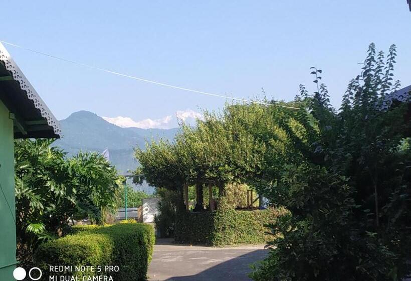 هتل Pine View Homestay