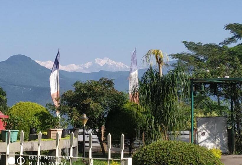 هتل Pine View Homestay