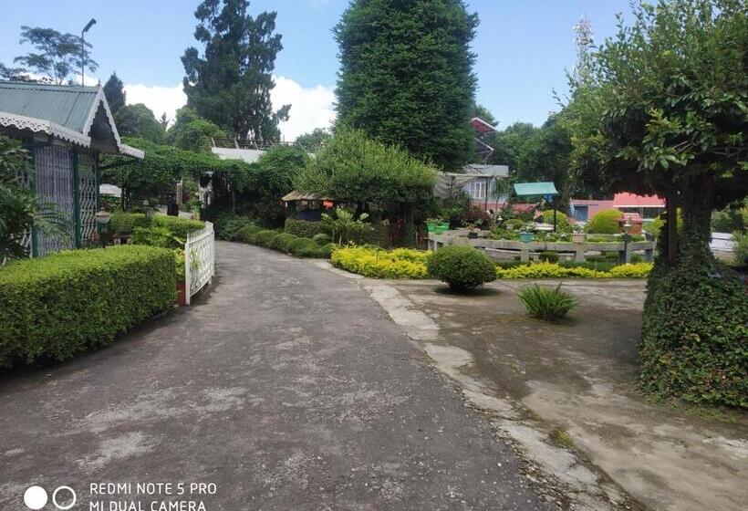 هتل Pine View Homestay