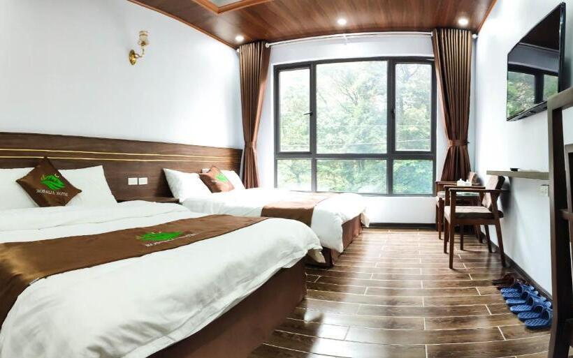 هتل T Global Holdings Tam đảo