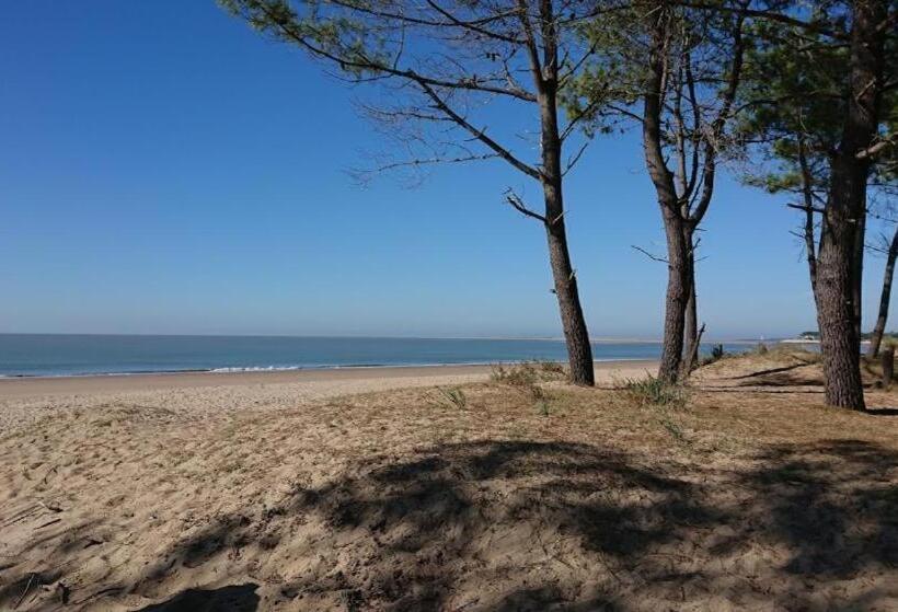 Пансион Room In Mobile Home   The Mobil Home De 4 4m