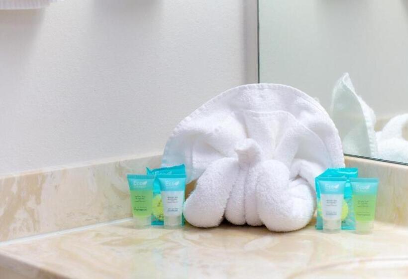 호텔 High Country Suites