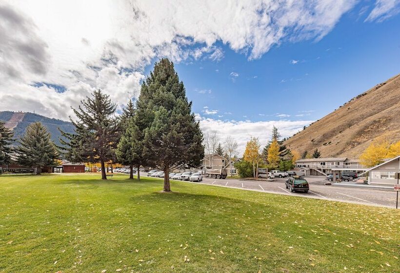 هتل Miller Park Lodge