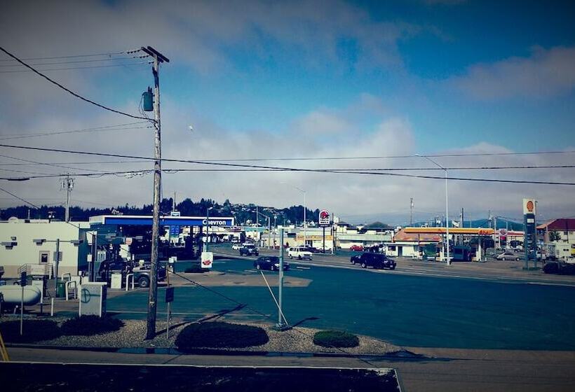 酒店 The New Terrace