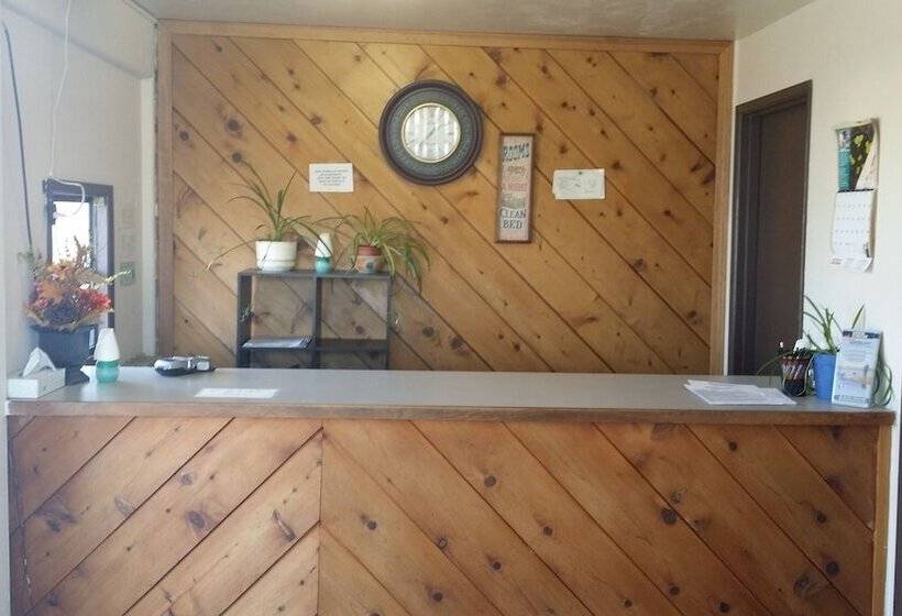 酒店 The New Terrace