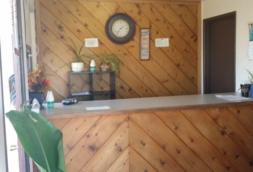 酒店 The New Terrace