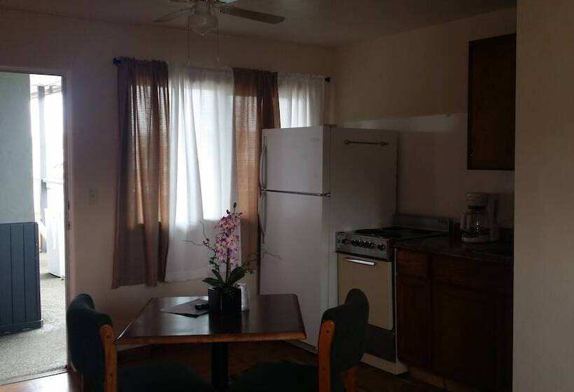 酒店 The New Terrace