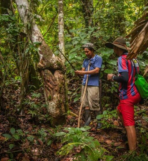 הוסטל Bribri Eco Lodge En Yorkin Se Yamipa