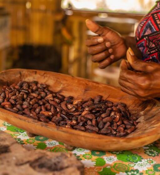 הוסטל Bribri Eco Lodge En Yorkin Se Yamipa