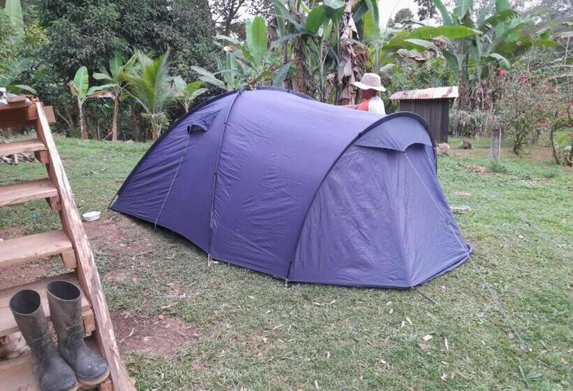 הוסטל Bribri Eco Lodge En Yorkin Se Yamipa