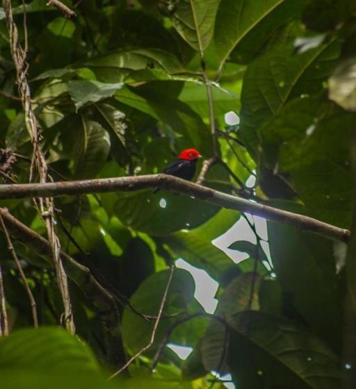 הוסטל Bribri Eco Lodge En Yorkin Se Yamipa