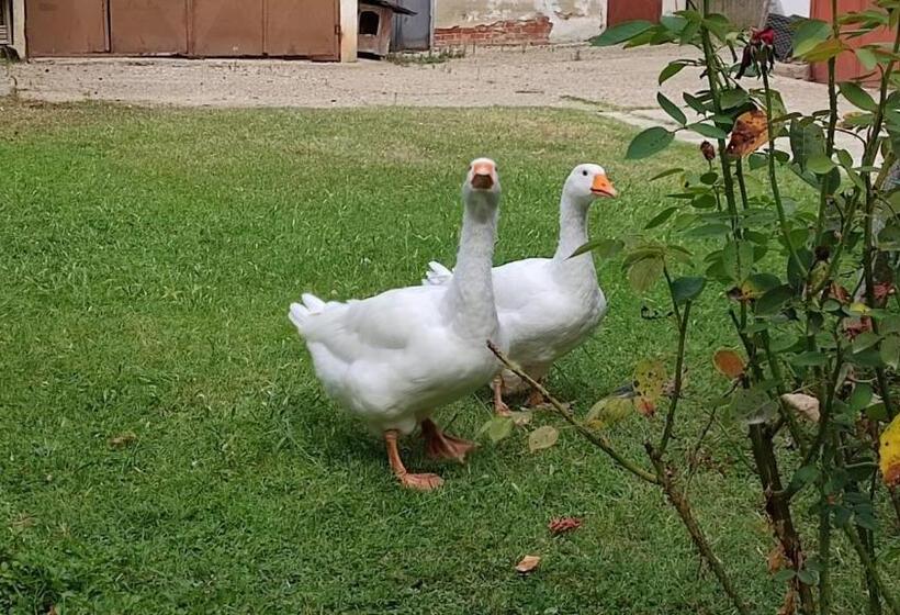 ベッドアンドブレックファースト La Valle Incantata